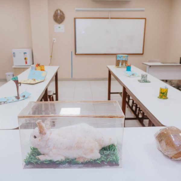 Laboratório de ciências